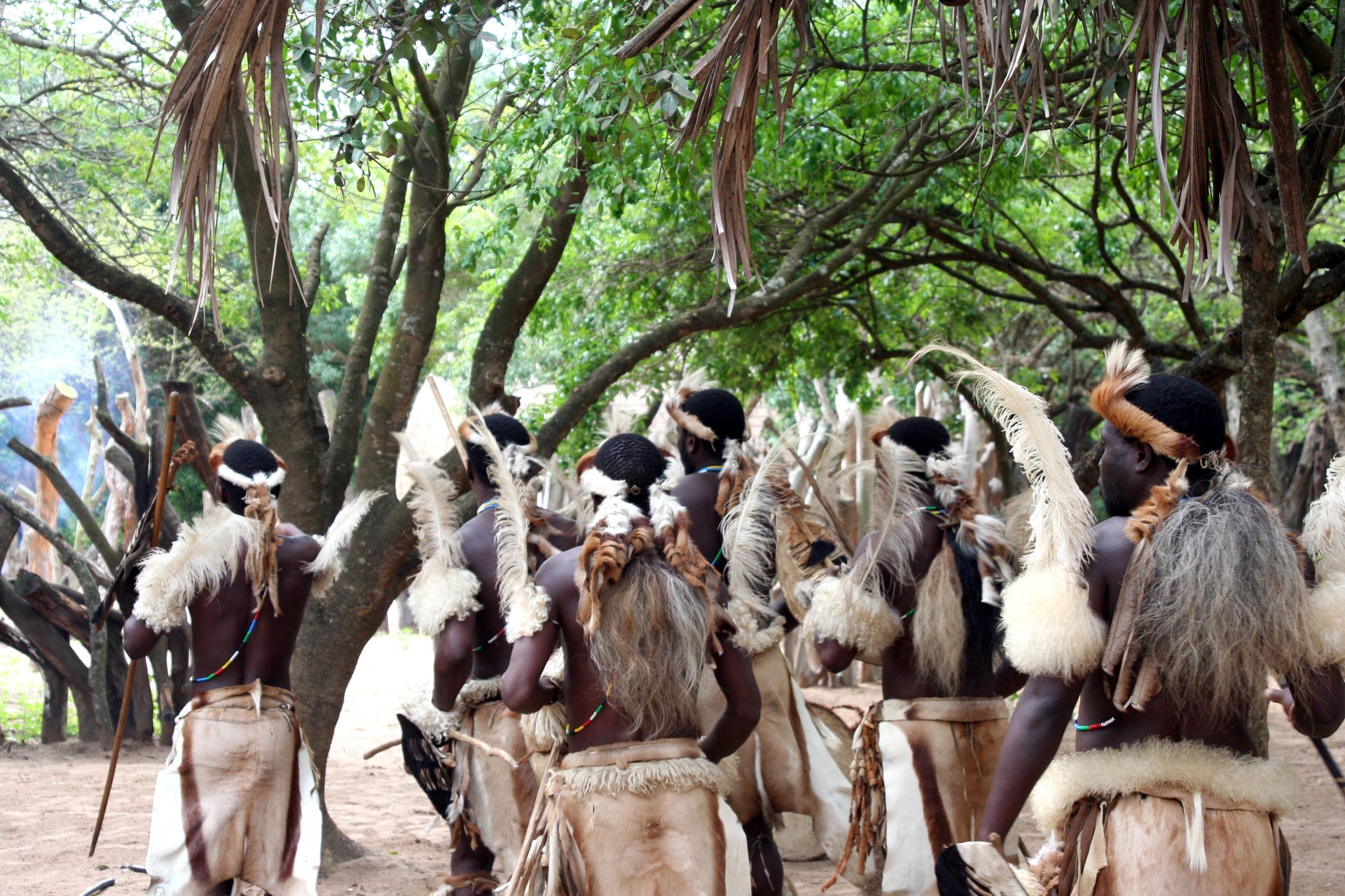 Africa - native tribal dance